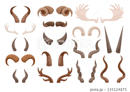 Collection Of Stunning And Diverse Animal Horns, Showcasing The Unique Shapes And Sizes Found In Nature Collection Of Stunning And Diverse Animal Horns, Showcasing The Unique Shapes And Sizes Found In Nature 135124875