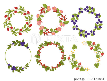 Delightful Set Of Frames Adorned With Vibrant Berries Raspberry, Blackberry, Rosehip, Blueberry And Strawberry 135124881