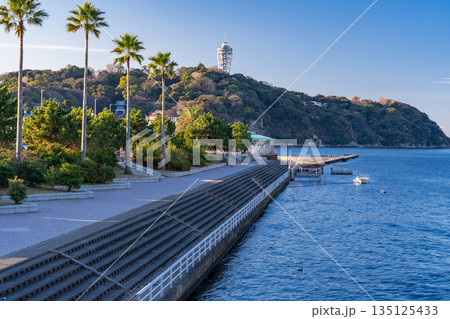《神奈川県》早朝の江ノ島の風景 135125433