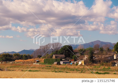 大山丹沢をバックにした冬の里山の田園風景 大山丹沢をバックにした冬の里山の田園風景 135125746