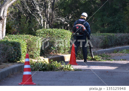 公園の整備　剪定後の枝葉をエンジンブロアーで処理 135125948