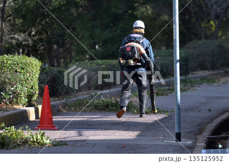 公園の整備　剪定後の枝葉をエンジンブロアーで処理 135125952