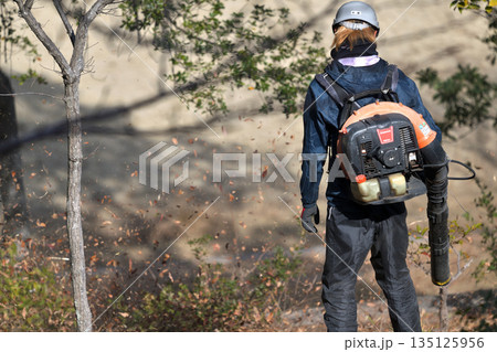 公園整備　エンジンブロアーで落ち葉を吹き飛ばす 135125956