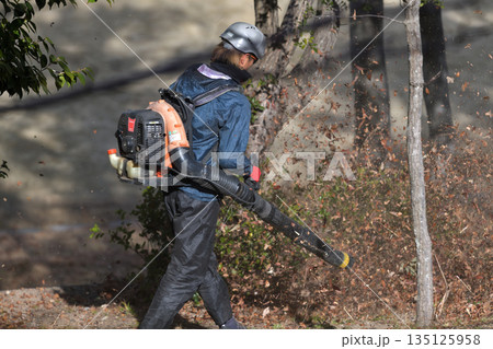 公園整備　エンジンブロアーで落ち葉を吹き飛ばす 135125958