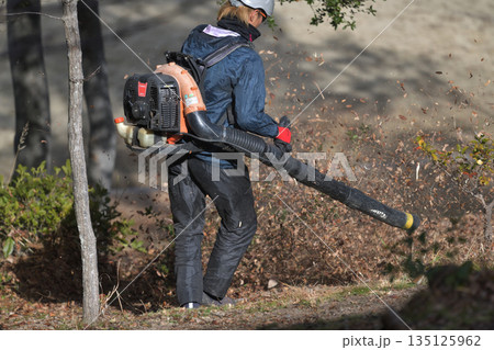 公園整備　エンジンブロアーで落ち葉を吹き飛ばす 135125962