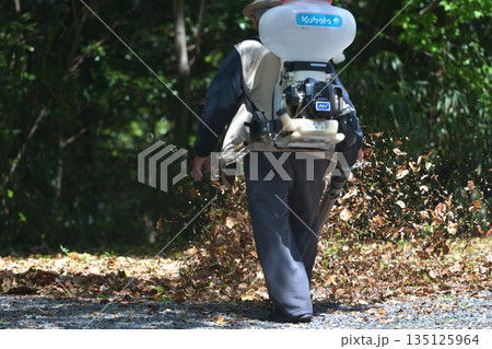 公園整備　エンジンブロアーで落ち葉を吹き飛ばす 135125964