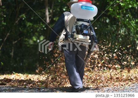 公園整備　エンジンブロアーで落ち葉を吹き飛ばす 135125966