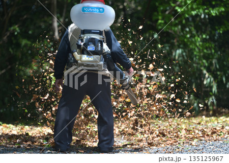 公園整備　エンジンブロアーで落ち葉を吹き飛ばす 135125967