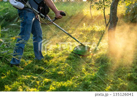 Man in jeans using grass trimmer for lawn care in backyard garden 135126041