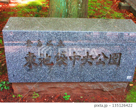 東池袋中央公園(東京都豊島区東池袋)の風景 東池袋中央公園(東京都豊島区東池袋)の風景 135126422