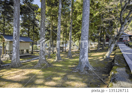 朝熊岳金剛證寺(1月)　境内 135126711