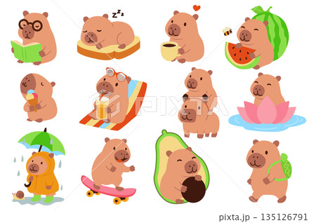 Capybaras characters set in flat graphic design. Collection isolated elements of cute pet reading book, sleeping, drinking coffee, eating watermelon or ice cream, sleeping, other. Vector illustration. 135126791