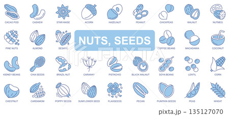 Nuts and seeds icons set in duotone outline stroke design for web. Pack pictograms of cacao, cashew, star anise, acorn, hazelnut, peanut, chickpea, almond, coffee bean, other. Vector illustration. 135127070