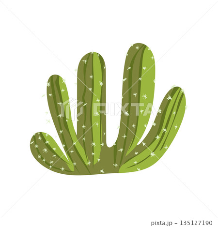 Desert cactus in flat design. Succulent with spikes and small flowers. Vector illustration isolated. 135127190
