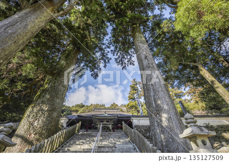 朝熊岳金剛證寺(1月) 摩尼殿(本堂)への石段 朝熊岳金剛證寺(1月) 摩尼殿(本堂)への石段 135127509