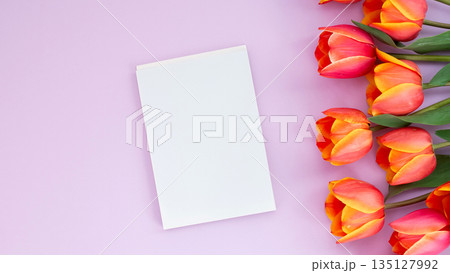 Blank card with vibrant tulips on pastel background 135127992