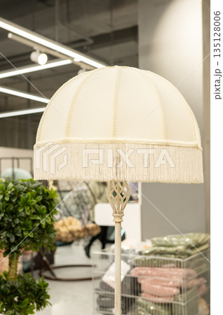 Vintage fringe lamp in modern setting with indoor plants Vintage fringe lamp in modern setting with indoor plants 135128006