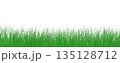 Green grass border on white background 135128712