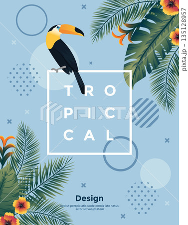 Tropical Bakground with frame 4 135128957
