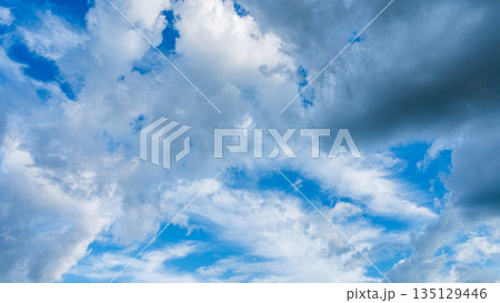 夏の青空に流れるたくさんの白い雲 夏の青空に流れるたくさんの白い雲 135129446
