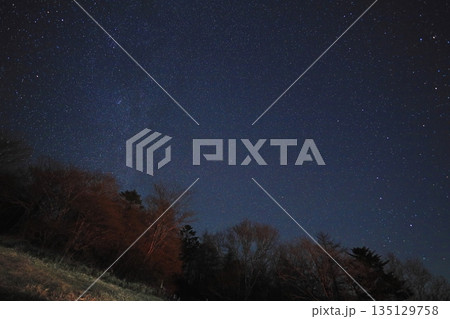 日光霧降高原キスゲ平園地の満天の星空 135129758