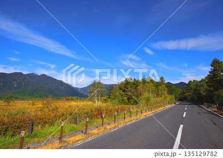 日本ロマンチック街道　日光戦場ヶ原の草紅葉 135129782