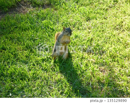 グリフィス天文台へ 135129890