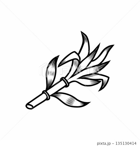 Sugar cane in style line art. Contour illustration of plant on white background. Sugar cane in style line art. Contour illustration of plant on white background. 135130414