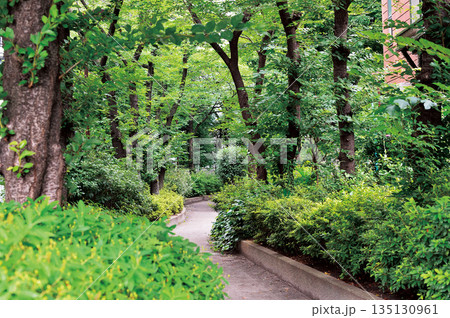 出井川緑道 135130961