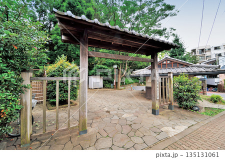 志村城山公園 志村城山公園 135131061