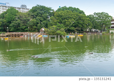 見次公園 135131241