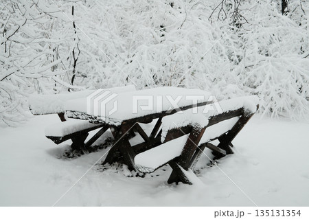 Snow covered wooden picnic table in a quiet winter forest. Concept of solitude, rest, seasonal park landscape, cold weather, and peaceful outdoor environment 135131354
