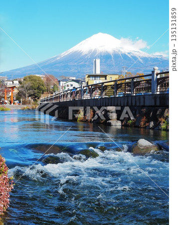 静岡県 神田川と富士山 1月 静岡県 神田川と富士山 1月 135131859