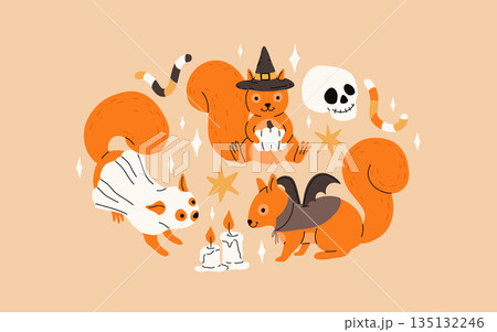 Cute squirrel in halloween costumes. Cartoon squirrel for autumn season, ghost, vampire and witch hat, skull, star and candles. Flat vector collection. 135132246