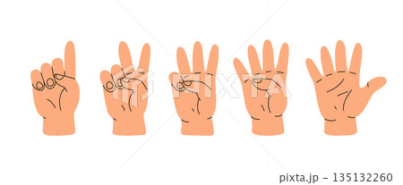 Counting with fingers. Hand gesturing, arm showing one, two, three, four and five numbers, digits. Countdown, score, elementary math learning. Flat vector illustration isolated on white background 135132260