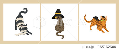 Flat cartoon set of cute cats in halloween costumes. Black cat in paper as mummy, grey tabby cat in witch hat, bengal rosette cat with bats wings. Vector halloween illustration. 135132300