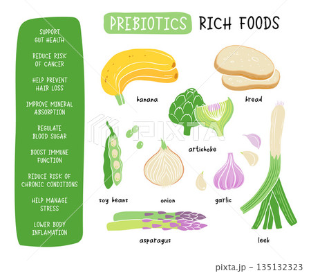 Prebiotic products, sources of these bacteria, nutrient rich food. Flat vector illustration of soy beans asparagus onion banana garlic artichoke 135132323