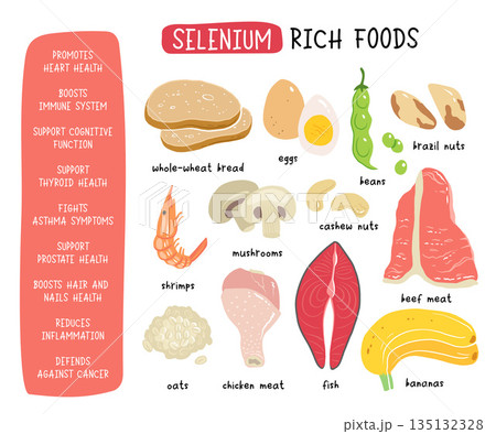 Selenium vector stock illustration. Food products with a high content of the mineral. tuna fish, meat, mushrooms, shrimps, brazil nuts, cashew, oats, bread, beans. Information poster. Food, diet. Selenium vector stock illustration. Food products with a high content of the mineral. tuna fish, meat, mushrooms, shrimps, brazil nuts, cashew, oats, bread, beans. Information poster. Food, diet. 135132328