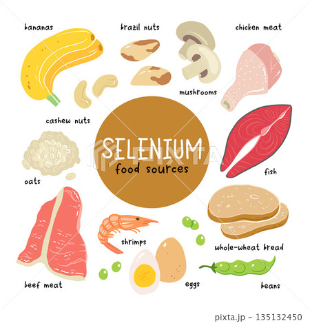 Selenium vector stock illustration. Food products with a high content of the mineral. tuna fish, meat, mushrooms, shrimps, brazil nuts, cashew, oats, bread, beans. Information poster. Food, diet. 135132450