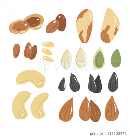 Set of nuts and seeds. almond, cashew, peanut, Brazil nut, pine nut, sunflower and pumpkin seeds. Vector illustration isolated on white background. 135132471