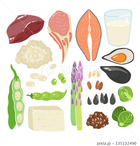 Collection of vitamin B1 sources. Food containing thiamin. Tofu, oatmeal, liver, pork, beans, peas, mussels, salmon, asparagus, flax seeds, brussels sprouts. Dietetic products, organic nutrition. Collection of vitamin B1 sources. Food containing thiamin. Tofu, oatmeal, liver, pork, beans, peas, mussels, salmon, asparagus, flax seeds, brussels sprouts. Dietetic products, organic nutrition. 135132490
