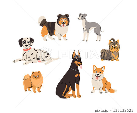 cartoon Dogs in motion set. Different canine breeds. Active puppies doberman, dalmatian, pomeranian, sheltie, italian greyhound, yorkshire terrier, corgi. Flat vector illustration 135132523