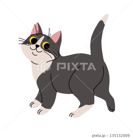 Cute cat concept. Adorable domestic animal walk. Fluffy black and white pet. Lovely kitten stands. Graphic element for website. Cartoon flat vector illustration isolated on white background Cute cat concept. Adorable domestic animal walk. Fluffy black and white pet. Lovely kitten stands. Graphic element for website. Cartoon flat vector illustration isolated on white background 135132809