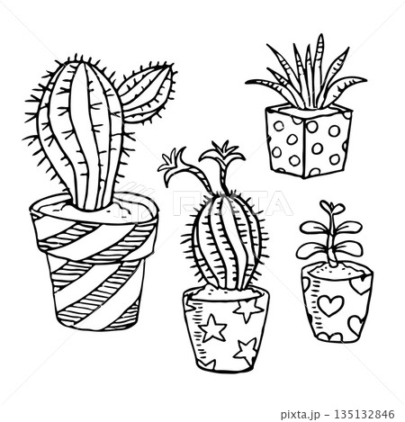 Vector illustration with cactus and succulent. Outline drawing. Vector EPS10 collection set with plants in pot. Decorative element for your design and coloring book. Vector illustration with cactus and succulent. Outline drawing. Vector EPS10 collection set with plants in pot. Decorative element for your design and coloring book. 135132846