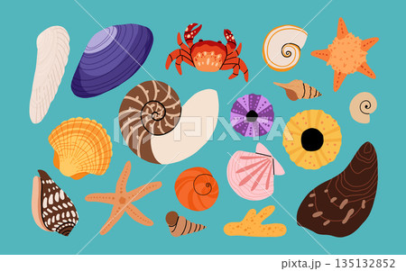 Seashells vector set. Collection of flat, cartoon modern flat icons of molluscs sea shells, starfish, sea urchin, crab, coral. Trendy coral reef under water collection isolated on white Seashells vector set. Collection of flat, cartoon modern flat icons of molluscs sea shells, starfish, sea urchin, crab, coral. Trendy coral reef under water collection isolated on white 135132852