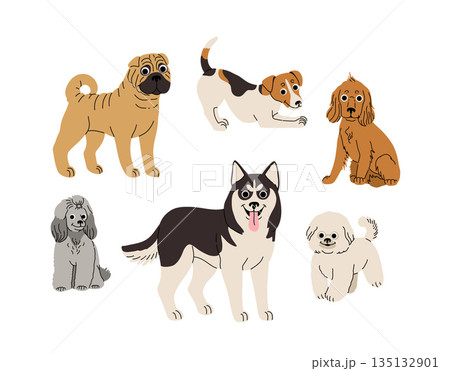 cartoon Dogs in motion set. Different canine breeds. Active puppies siberian husky, jack russell terrier, cocker spaniel, miniature poodle, shar pei, bishon frize. Flat vector illustration 135132901