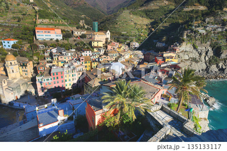 View of Vernazza, town in Cinque Terre, from mountain. Nature and sea, traditional buildings of Liguria, Italy. Architecture protected by UNESCO. Background for design. View of Vernazza, town in Cinque Terre, from mountain. Nature and sea, traditional buildings of Liguria, Italy. Architecture protected by UNESCO. Background for design. 135133117
