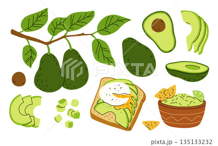 Cartoon set with avocado fruit on branch with leaves. Whole avocado, half and slices, cubes. Avocado toast with poached egg, bowl of guacamole with lime and nachos. Flat vector set Cartoon set with avocado fruit on branch with leaves. Whole avocado, half and slices, cubes. Avocado toast with poached egg, bowl of guacamole with lime and nachos. Flat vector set 135133232