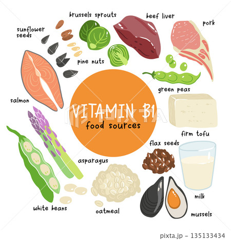Collection of vitamin B1 sources. Food containing thiamin. Tofu, oatmeal, liver, pork, beans, peas, mussels, salmon, asparagus, flax seeds, brussels sprouts. Dietetic products, organic nutrition. 135133434
