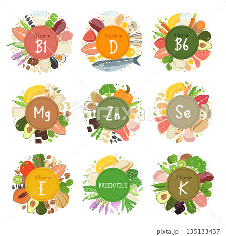 Healthy food sources of vitamins and minerals. Vitamins b1, b6, d, e, k1, k2, zinc, magnesium, selenium, prebiotics. Vector healthcare illustration isolated on white background. Healthy food sources of vitamins and minerals. Vitamins b1, b6, d, e, k1, k2, zinc, magnesium, selenium, prebiotics. Vector healthcare illustration isolated on white background. 135133437